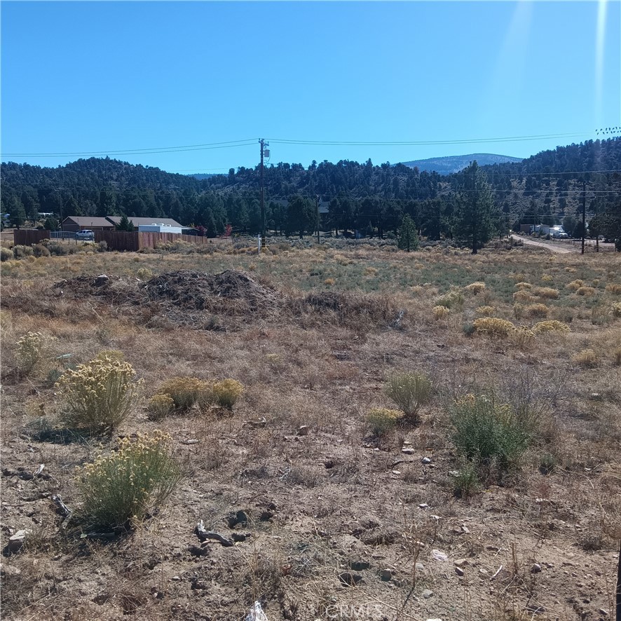 MLS #JT25255966 image #7