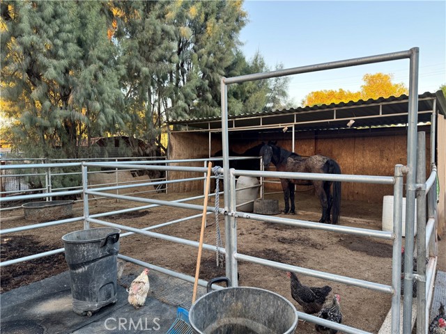 6465 Archer, Jurupa Valley CA: https://media.crmls.org/medias/3bfec292-4b8c-45cf-8051-939a88104029.jpg