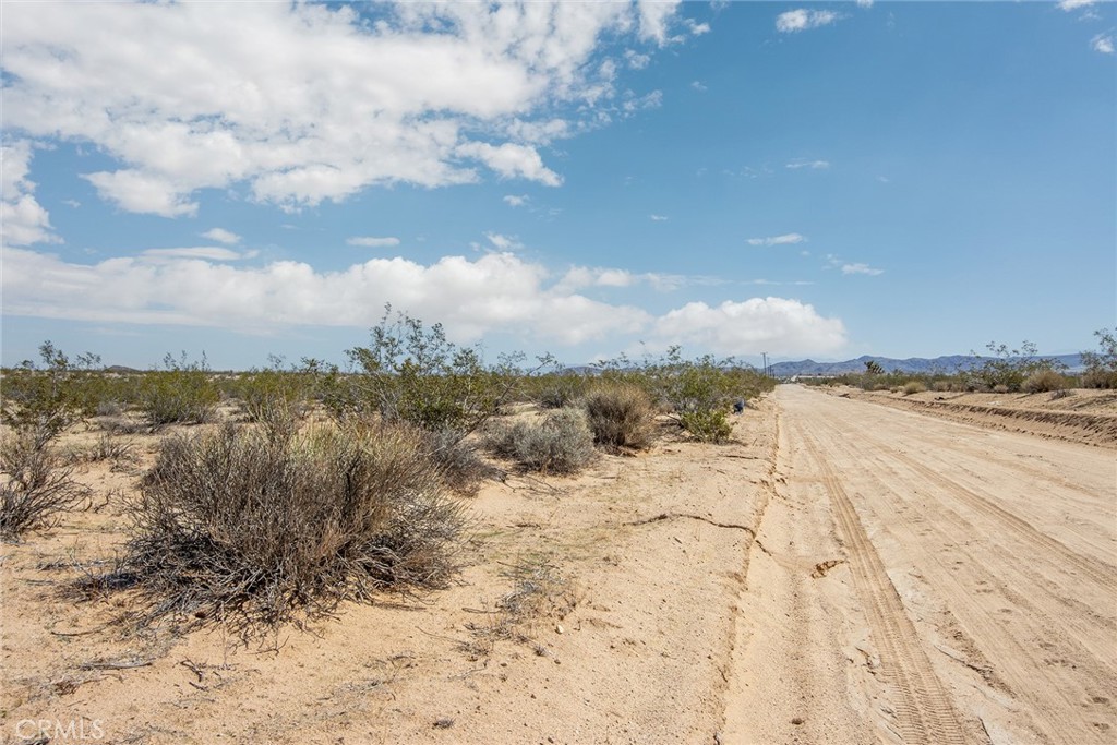 MLS #SW25224146 image #17