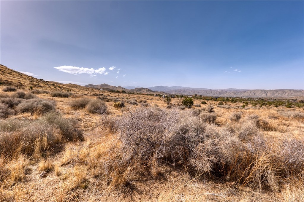 MLS #JT25046600 image #34