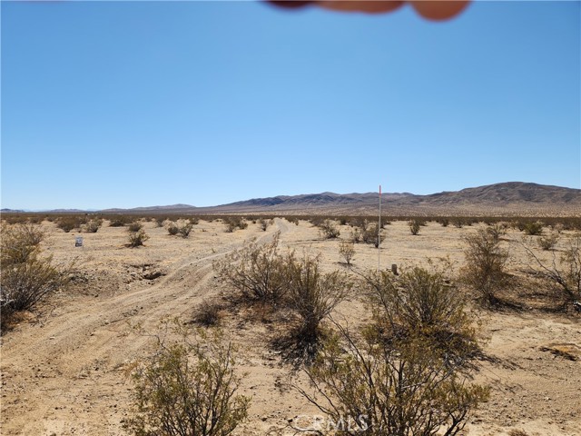 Detail Gallery Image 3 of 8 For 33 Panamint Trl, Helendale,  CA 92342 - – Beds | – Baths