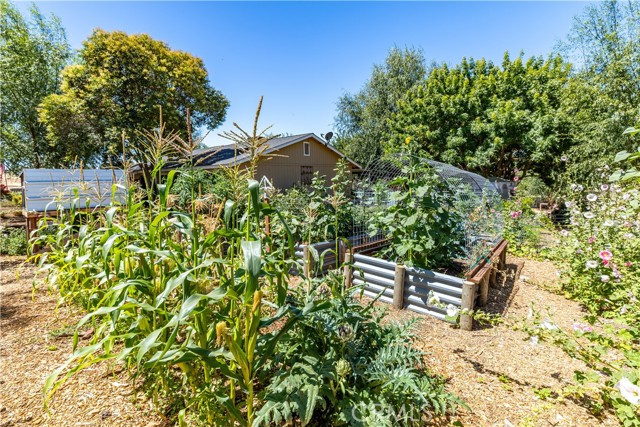 4225 Farousse Way, Paso Robles CA: https://media.crmls.org/medias/3c09b5f7-54dd-4ce3-a0e5-b02b0be64981.jpg