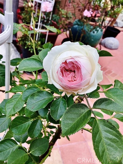 Detail Gallery Image 34 of 39 For Address Is Not Disclosed, Gardena,  CA 90249 - 5 Beds | 4 Baths