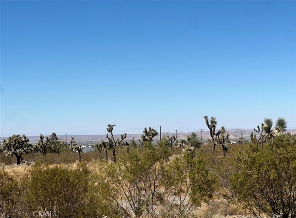 MLS #DW26197880 image #2
