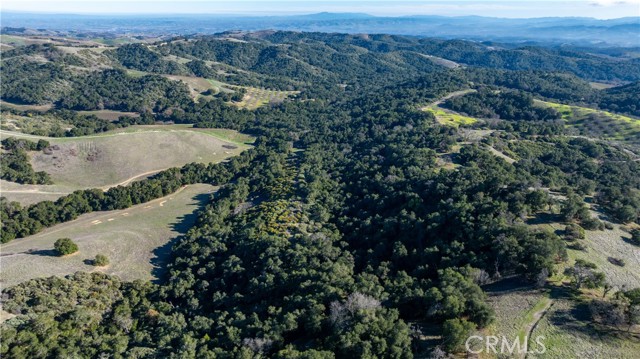 Detail Gallery Image 19 of 36 For 0 Adelaida Road, Paso Robles,  CA 93446 - – Beds | – Baths