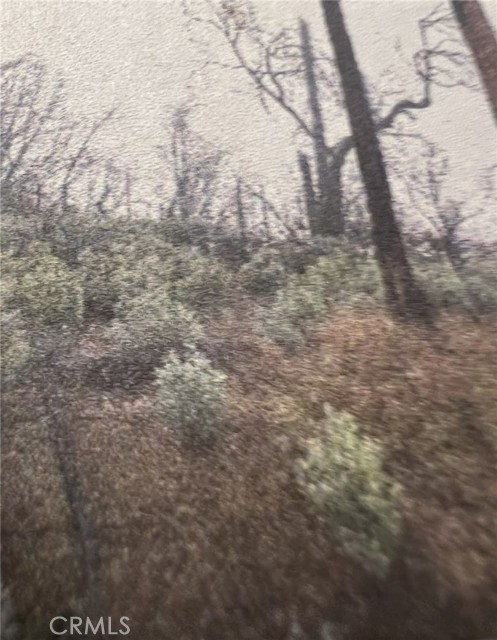 Detail Gallery Image 4 of 11 For 0 Rockerfeller Rd, Berry Creek,  CA 95916 - – Beds | – Baths