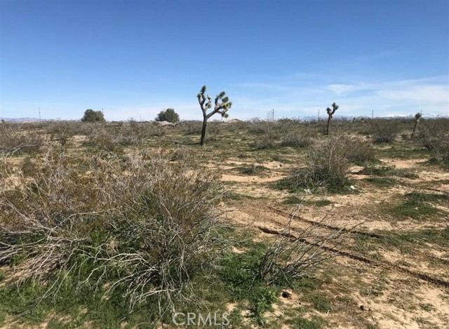 Detail Gallery Image 11 of 15 For 15981 Lilac Ct, Adelanto,  CA 92301 - – Beds | – Baths