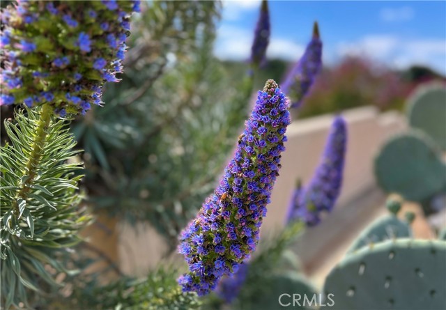 28306 Crescent Hill Way, Escondido CA: https://media.crmls.org/medias/3c18e4c5-5c73-44d3-95d6-c210557974b3.jpg