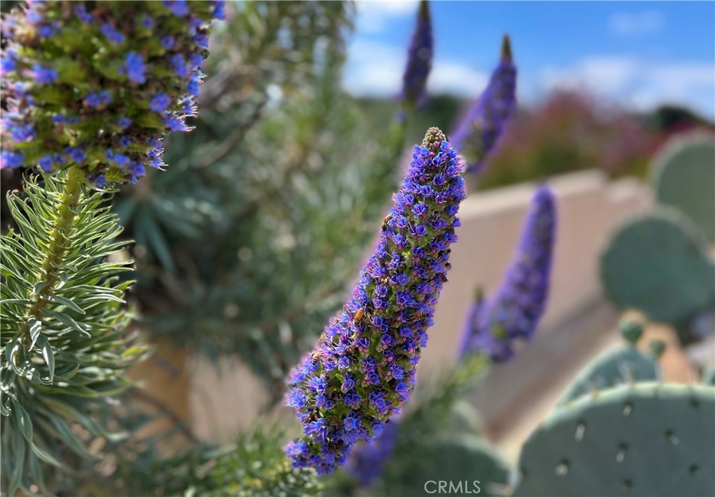 https://media.crmls.org/medias/3c18e4c5-5c73-44d3-95d6-c210557974b3.jpg?preset=X-Large