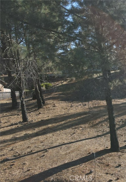 Detail Gallery Image 5 of 7 For 4525 Sierra Del Sol, Paradise,  CA 95969 - – Beds | – Baths