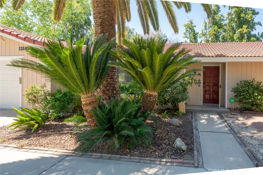 MLS #FR25181477 img 7