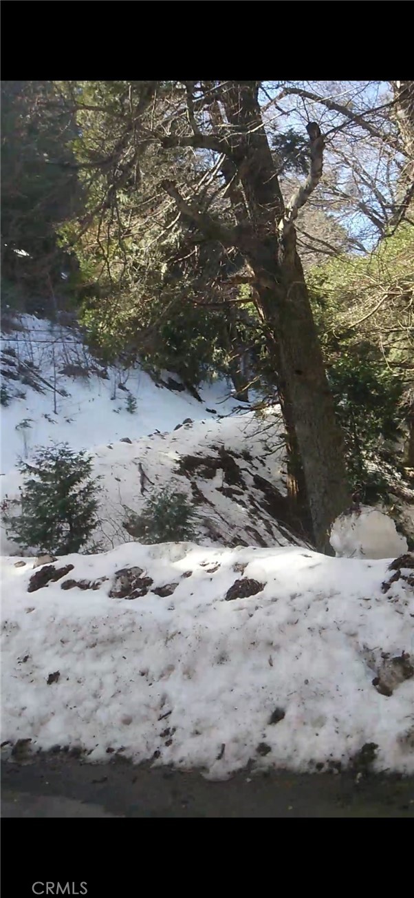 0 Saxon, Crestline CA: https://media.crmls.org/medias/3c28d5b4-605c-4bcf-8705-58213f686166.jpg