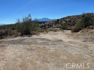 MLS #PW25262086 image #14