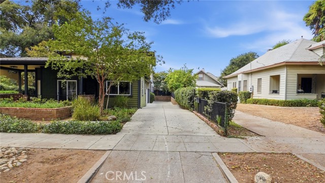 537 Cypress photo 6