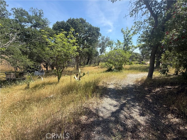 Front Image Thumbnail for CRPA26107014