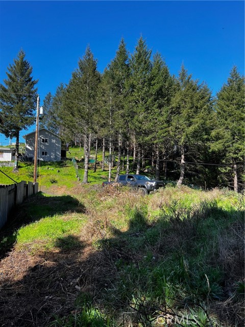 159 Redwood Road, Shelter Cove, California 95589, ,Land,For Sale,159 Redwood Road,CRHD23227637