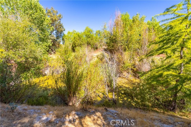 Detail Gallery Image 39 of 47 For 8344 Soledad Canyon Rd, Acton,  CA 93510 - 2 Beds | 2 Baths