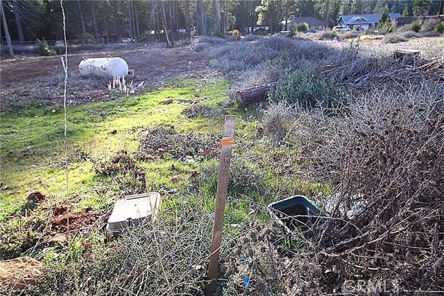 Detail Gallery Image 6 of 9 For 14125 Elmira Cir, Magalia,  CA 95954 - – Beds | – Baths