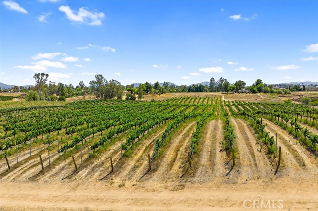 Detail Gallery Image 16 of 16 For 0 Berenda Rd, Temecula,  CA 92591 - – Beds | – Baths