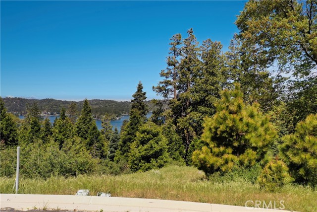 Detail Gallery Image 8 of 12 For 153 Mill Pond Rd, Lake Arrowhead,  CA 92352 - – Beds | – Baths