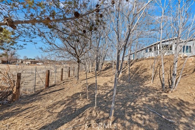 60500 Indian Paint Brush Road, Anza CA: https://media.crmls.org/medias/3c53736c-ae8b-47b7-b3c1-25d67af28e7d.jpg
