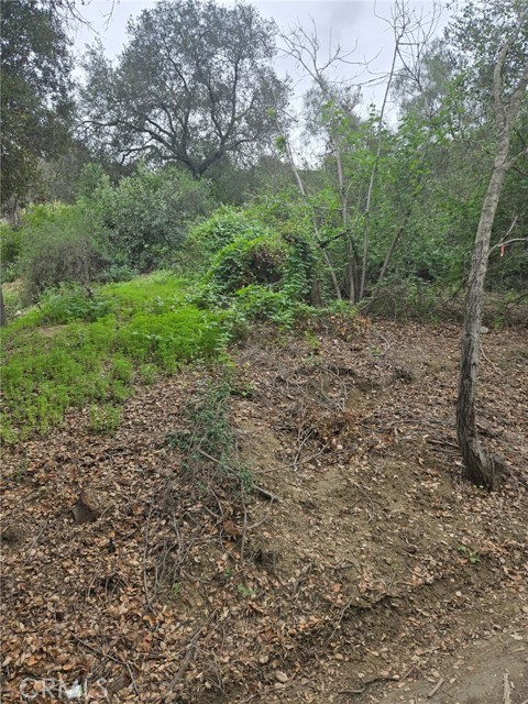 Front Image Thumbnail for CRDW26037812