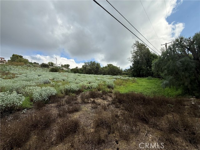 Detail Gallery Image 5 of 6 For 707 Dorothea, La Habra Heights,  CA 90631 - – Beds | – Baths