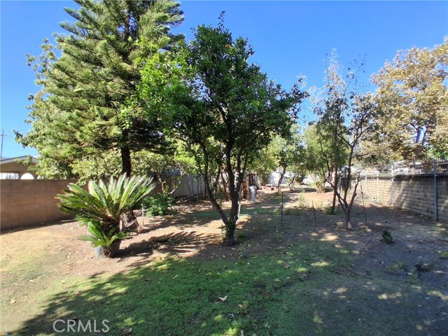 12587 Bradley Avenue photo 36