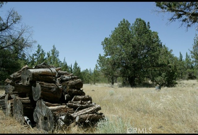 Detail Gallery Image 10 of 12 For 0 99xx Big Springs Rd, Montague,  CA 96064 - 4 Beds | 5 Baths