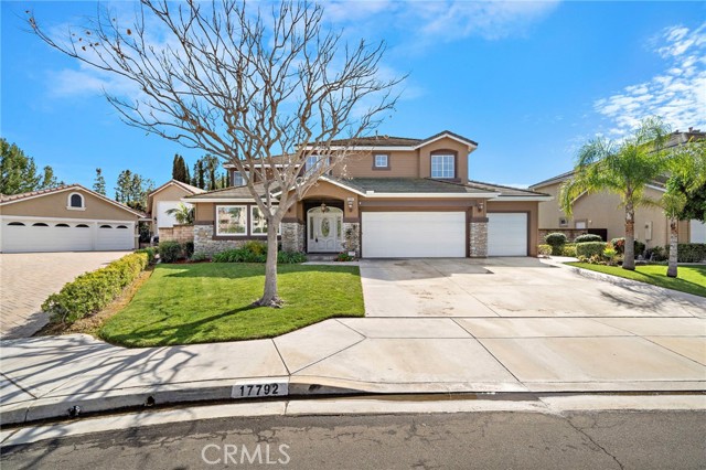 Front Image Thumbnail for CROC26036276