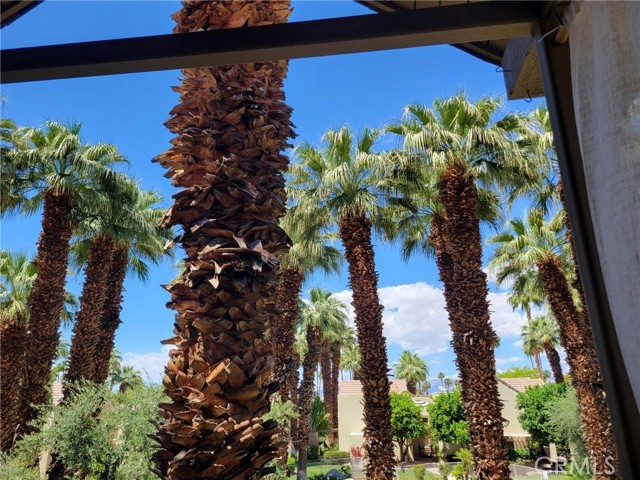Detail Gallery Image 2 of 50 For 78130 Cortez Ln #53,  Indian Wells,  CA 92210 - 1 Beds | 1 Baths