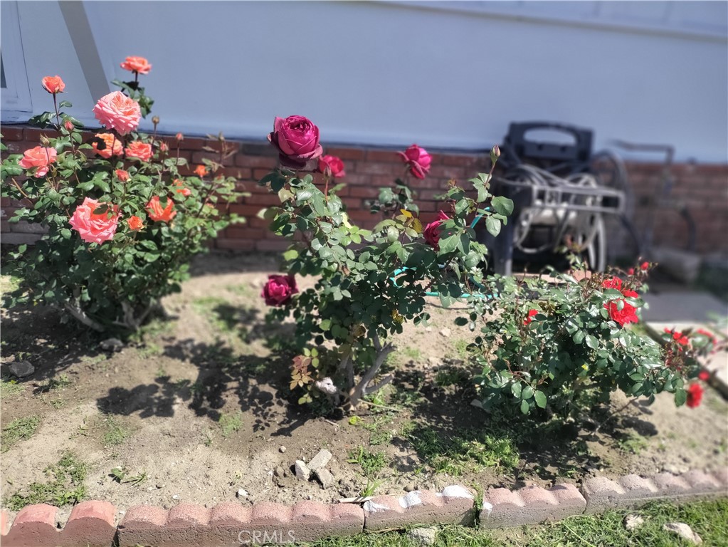 https://media.crmls.org/medias/3c63c525-db91-4764-89cd-a7dd2ee1fb14.jpg?preset=X-Large