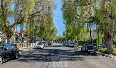 Charming Tree Lined Street