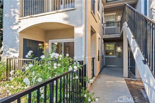 Front Image Thumbnail for CRSR25238571