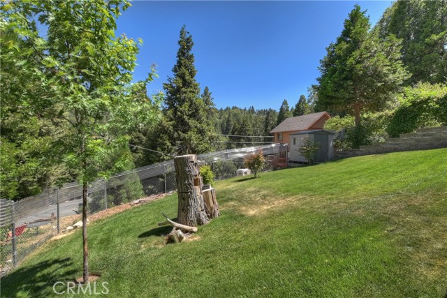 Grassed and fenced Back yard