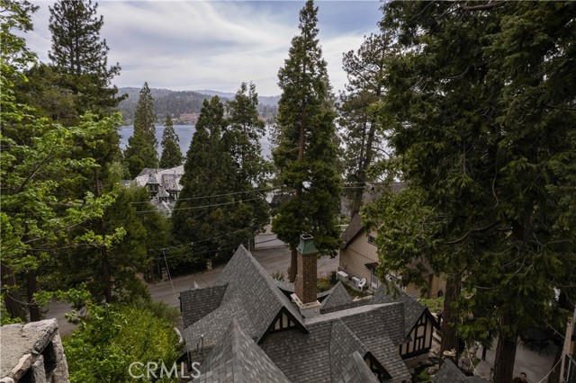 Detail Gallery Image 37 of 38 For 313 John Muir Rd, Lake Arrowhead,  CA 92352 - 3 Beds | 2/2 Baths