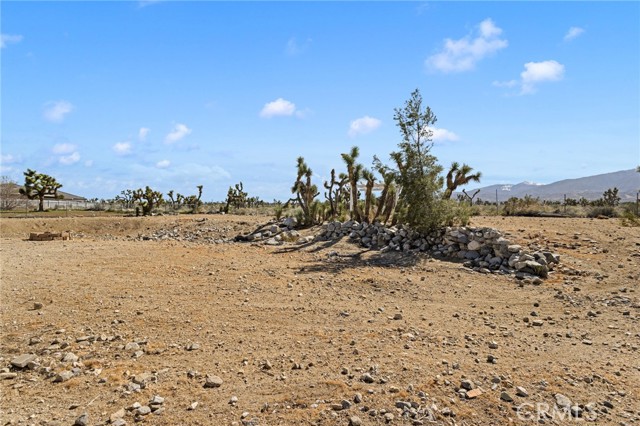 Detail Gallery Image 42 of 59 For 1237 Mono, Pinon Hills,  CA 92372 - 3 Beds | 2 Baths