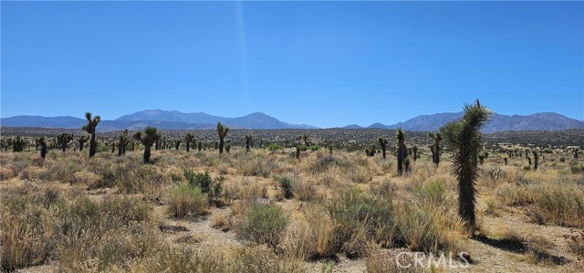 0 Ft Tejon/Vic Bob Gaps Road, Llano, California 93544, ,Land,For Sale,0 Ft Tejon/Vic Bob Gaps Road,CRSR23125649