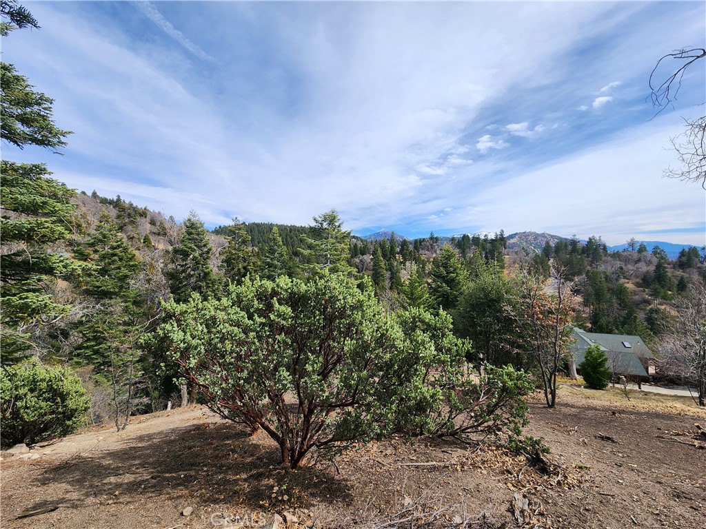 MLS #IG25045374 image #8