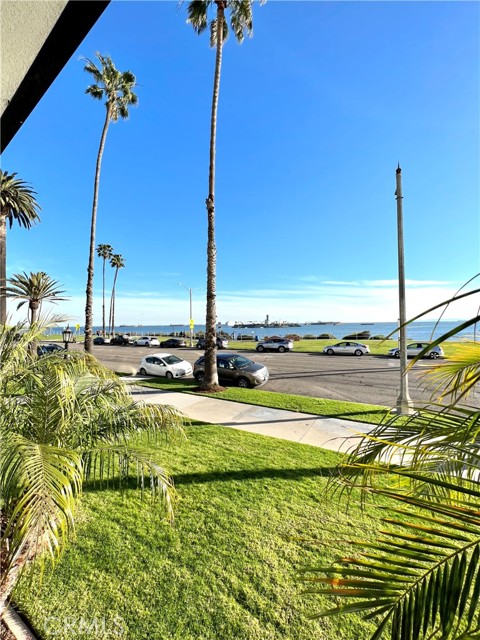 Image 3 for 2601 E Ocean Blvd #309, Long Beach, CA 90803