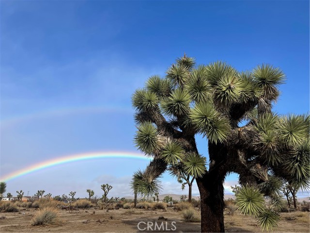 Detail Gallery Image 2 of 6 For 3944 Inez Ave, Yucca Valley,  CA 92284 - – Beds | – Baths