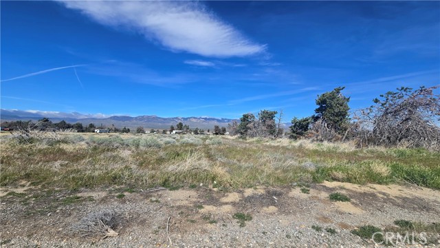 Detail Gallery Image 19 of 32 For 0 Lancaster Rd/Hwy 138 Vic 283rd W, –,  CA 93536 - – Beds | – Baths