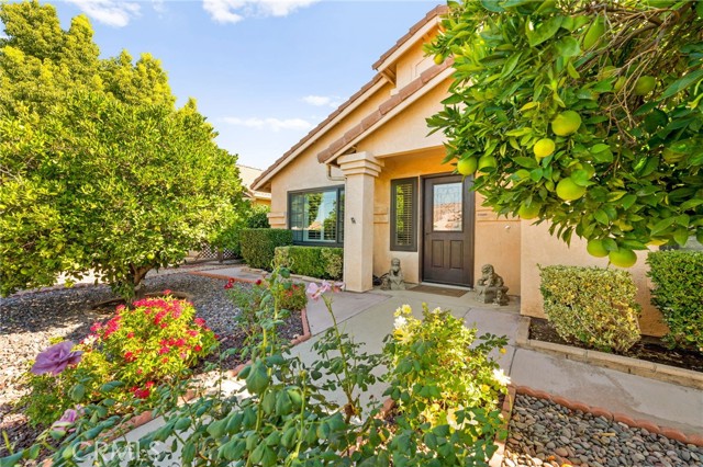 Detail Gallery Image 33 of 36 For 766 via Casitas, Hemet,  CA 92545 - 2 Beds | 2 Baths