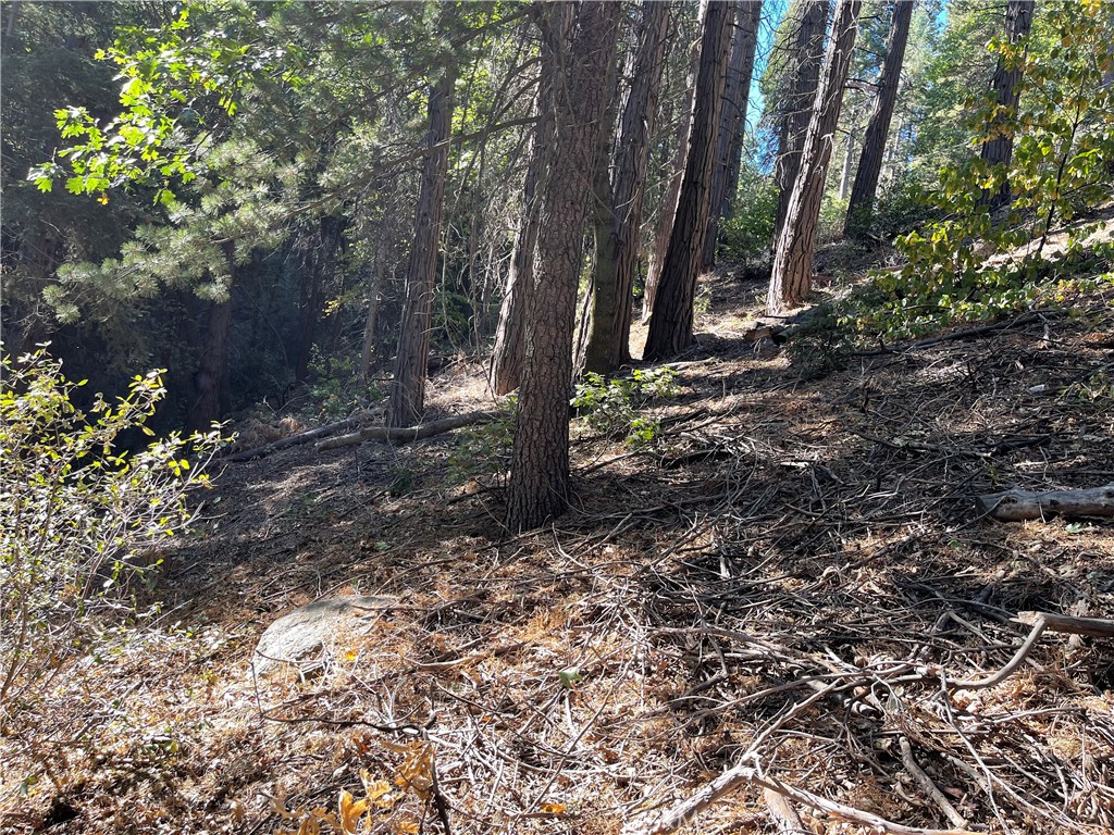 0 Knutzford Rd., Cedarpines Park, CA 92322