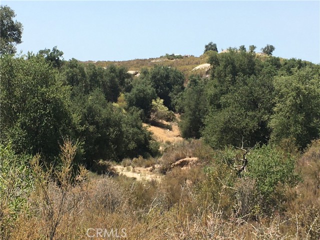 Detail Gallery Image 11 of 26 For 35010 Willow Creek Rd., Hemet,  CA 92544 - – Beds | – Baths