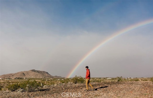 Detail Gallery Image 6 of 11 For 3120 Stonehill Ave, Joshua Tree,  CA 92252 - – Beds | – Baths