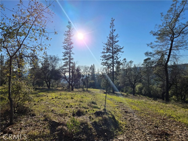 Detail Gallery Image 2 of 34 For 0 Double Eagle Way, Brownsville,  CA 95919 - – Beds | – Baths