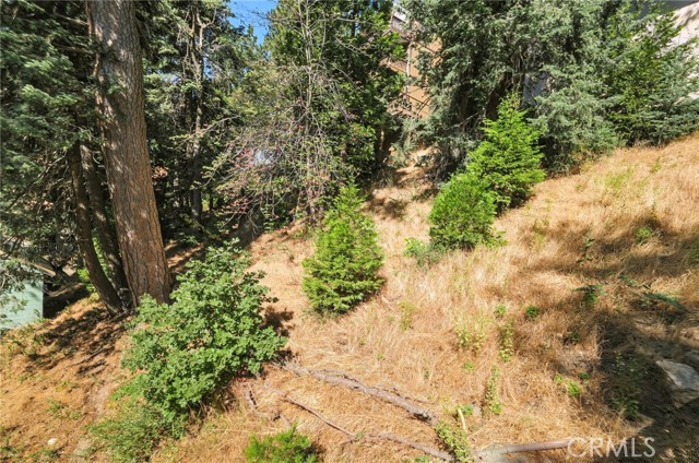 782 Virginia Court, Lake Arrowhead CA: https://media.crmls.org/medias/3c8794da-2690-49c9-b804-8d67f0531031.jpg