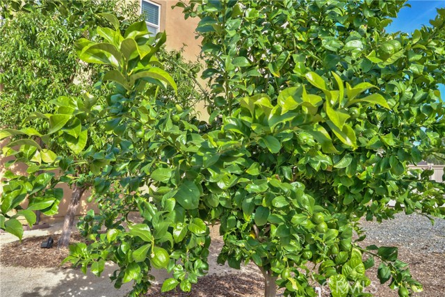 Detail Gallery Image 47 of 52 For 32640 Cougar Pass Ct, Winchester,  CA 92596 - 5 Beds | 3/1 Baths