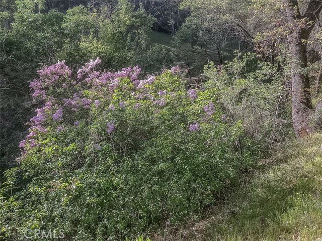 Detail Gallery Image 19 of 43 For 4743 Buffalo Gulch Rd, Midpines,  CA 95345 - – Beds | – Baths